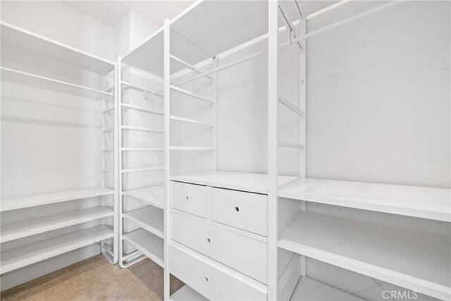 spacious closet featuring carpet floors