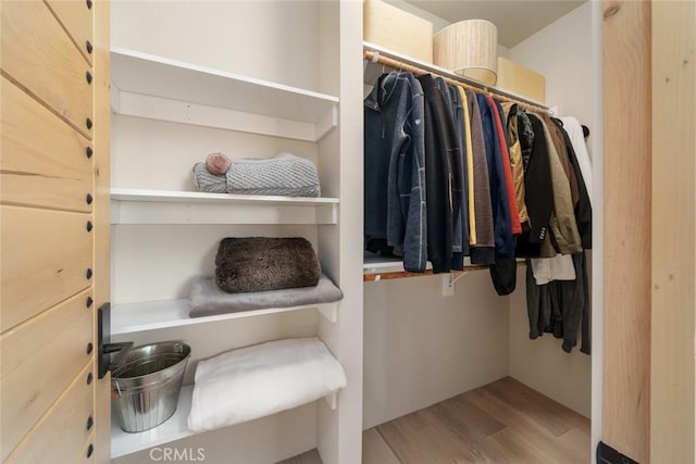 spacious closet featuring light hardwood / wood-style flooring