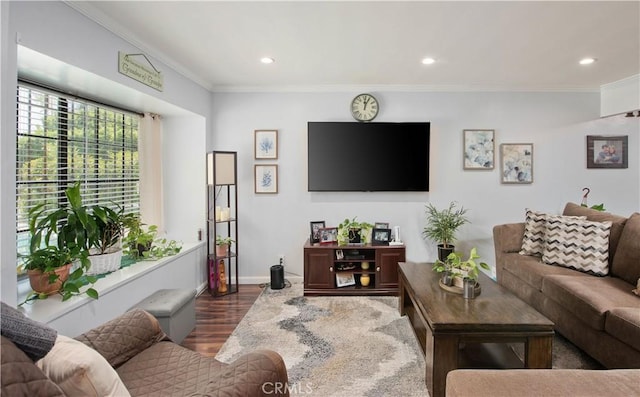 living room featuring dark hardwood / wood-style flooring and crown molding