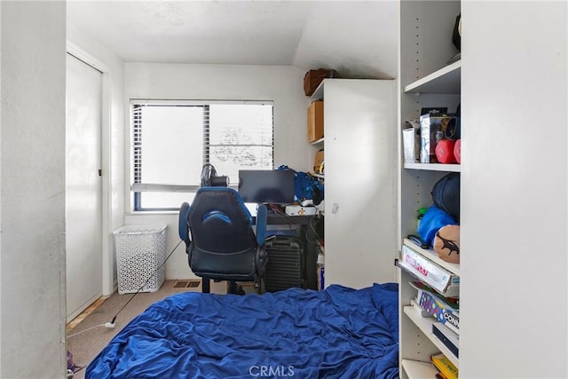 bedroom featuring multiple windows