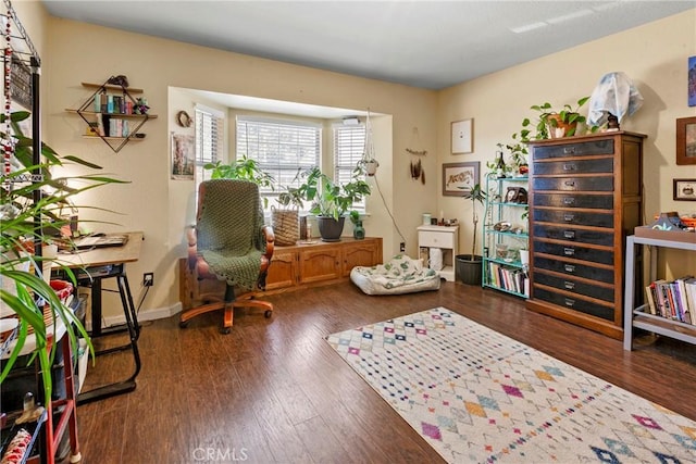 living area featuring dark hardwood / wood-style floors