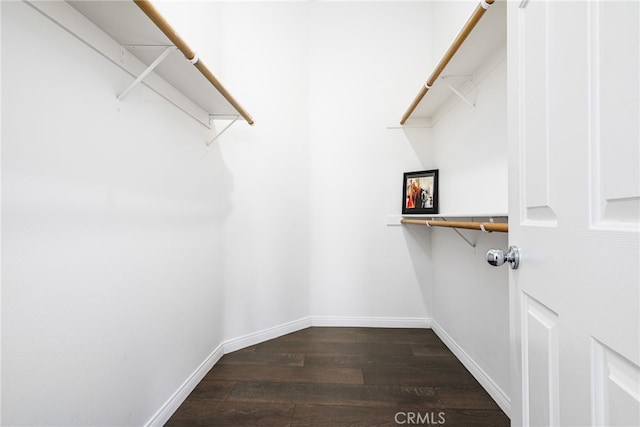 walk in closet featuring dark hardwood / wood-style floors