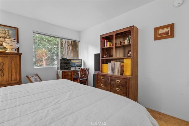 bedroom with carpet floors