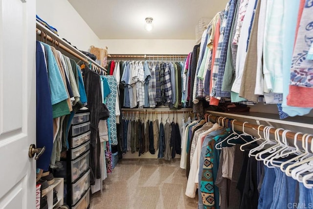 walk in closet with carpet floors