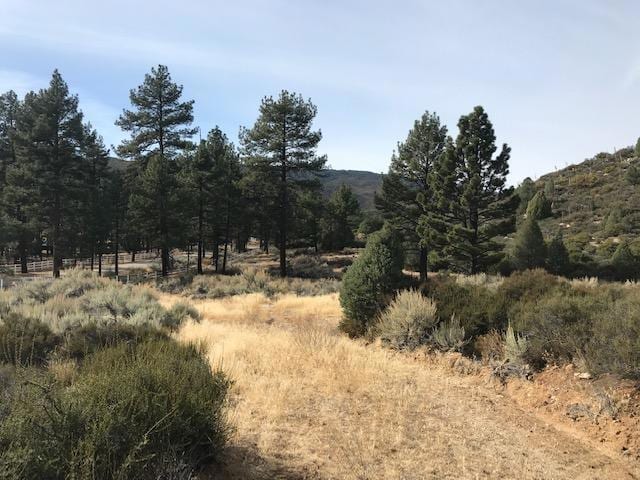 Listing photo 2 for 1 Butterfly Peak Rd, Mountain Center CA 92561