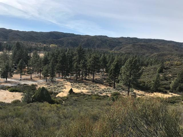 1 Butterfly Peak Rd, Mountain Center CA, 92561 land for sale