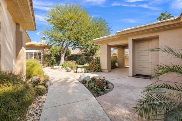 property entrance with a patio area