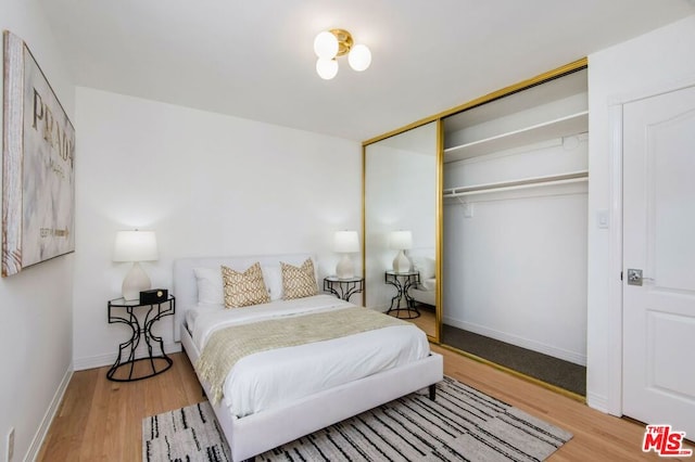 bedroom featuring a closet and wood-type flooring