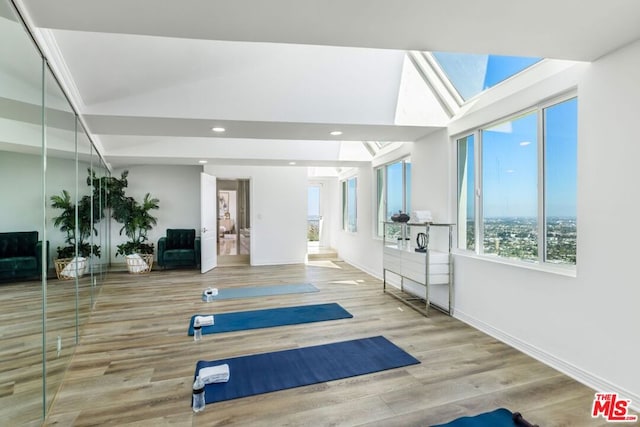 workout room with wood-type flooring and a skylight