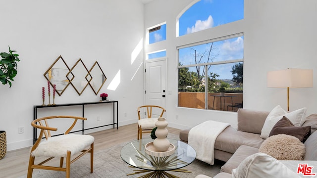 living room with light hardwood / wood-style floors and a high ceiling