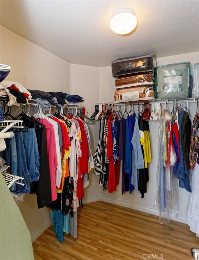 spacious closet featuring hardwood / wood-style flooring