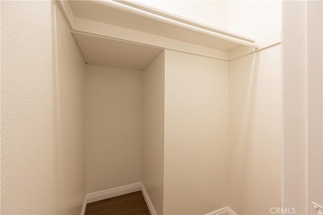 walk in closet featuring wood-type flooring