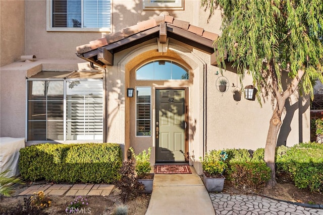 view of exterior entry featuring stucco siding