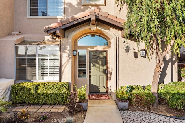 view of exterior entry featuring stucco siding