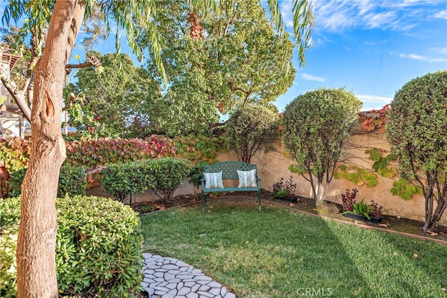 view of yard with fence