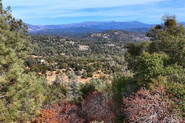 view of mountain feature