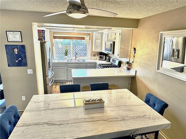 dining room featuring ceiling fan, sink, a textured ceiling, and hardwood / wood-style flooring