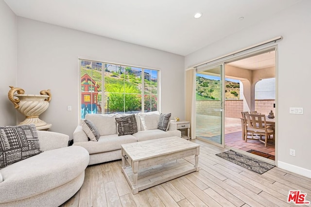 living room featuring light hardwood / wood-style floors