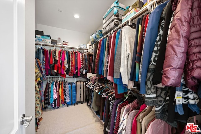 walk in closet featuring carpet floors