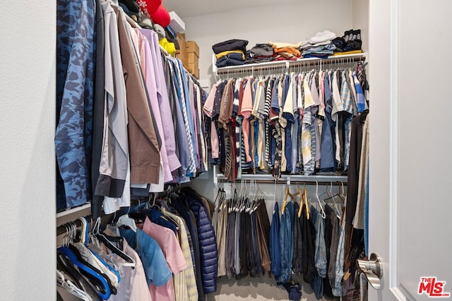 spacious closet with carpet