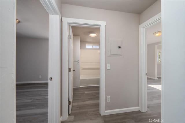 hallway featuring electric panel and dark wood-type flooring