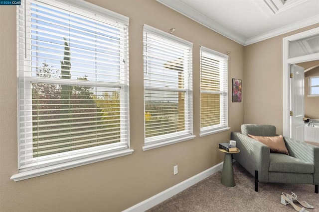 sitting room with carpet and ornamental molding