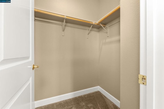 walk in closet featuring carpet floors