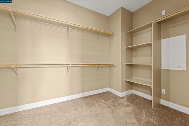 spacious closet featuring carpet flooring