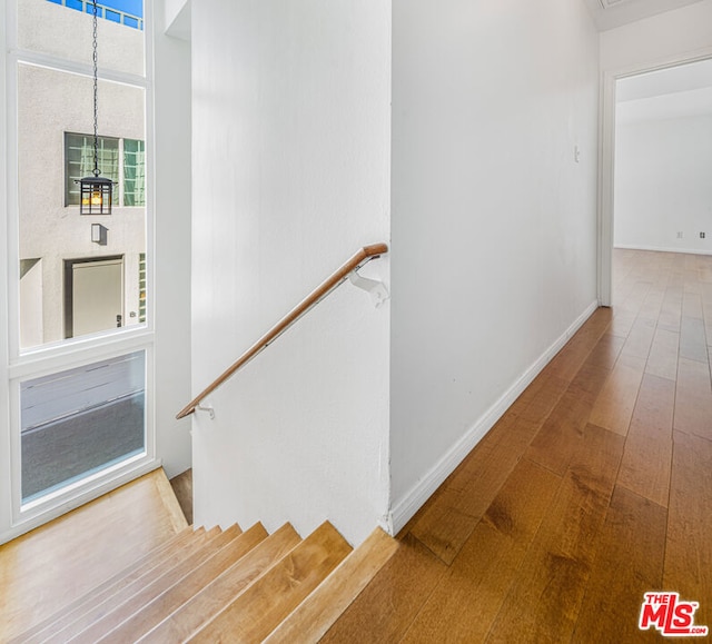 stairway featuring hardwood / wood-style floors