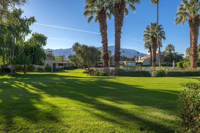 view of yard featuring a mountain view