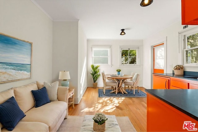 living room featuring light hardwood / wood-style floors, ornamental molding, and a wealth of natural light