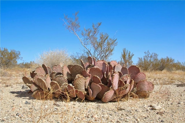 Listing photo 3 for 0 Moonlight Mesa Ave, Joshua Tree CA 92252