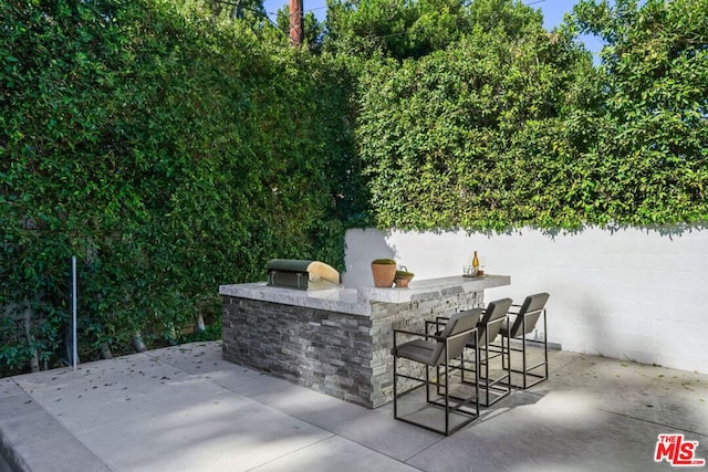 view of patio / terrace featuring exterior bar and grilling area