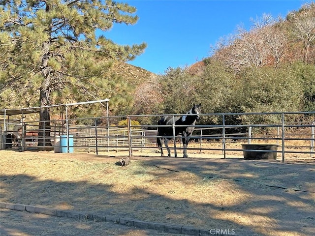 view of horse barn with a rural view