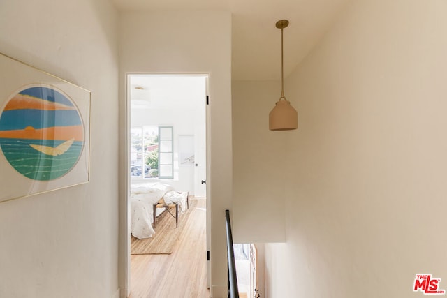 hallway with hardwood / wood-style flooring