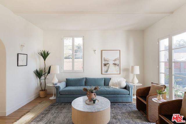 living room with dark hardwood / wood-style flooring