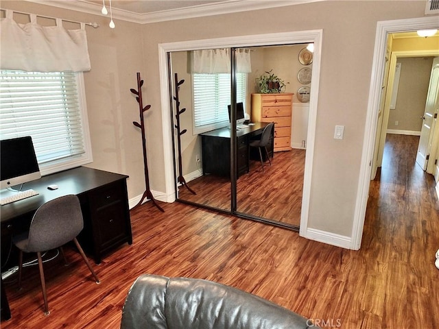 office space featuring dark hardwood / wood-style floors and crown molding