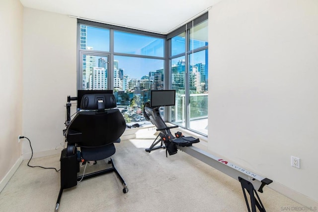 exercise room with carpet and a wall of windows