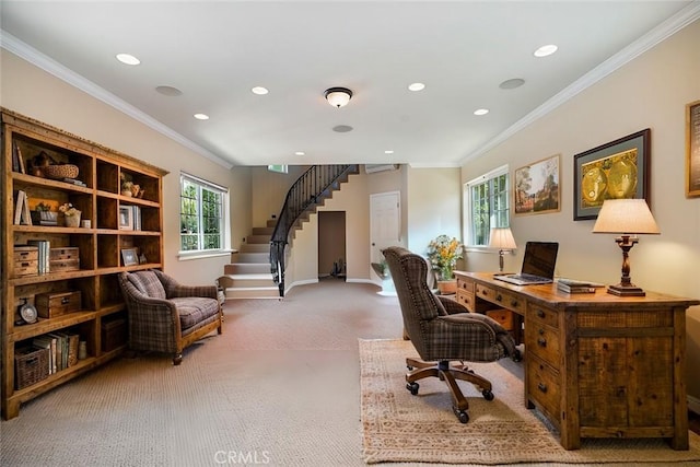 carpeted home office featuring ornamental molding