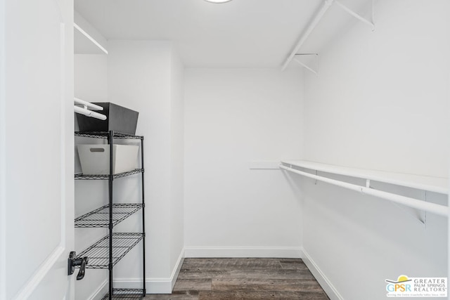 spacious closet featuring dark wood-type flooring