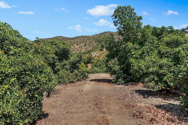 view of mountain feature