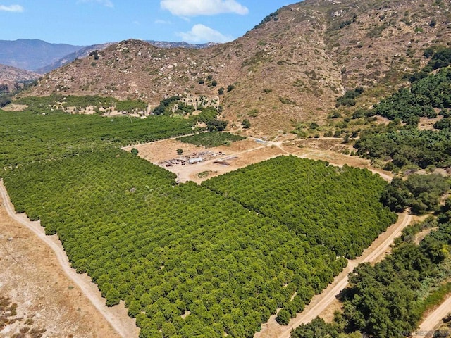 view of mountain feature with a rural view