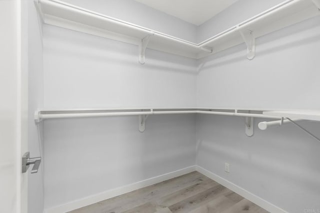 walk in closet with light hardwood / wood-style floors