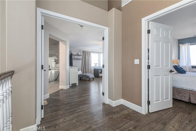 hall featuring dark hardwood / wood-style floors