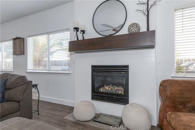 living room featuring dark hardwood / wood-style flooring