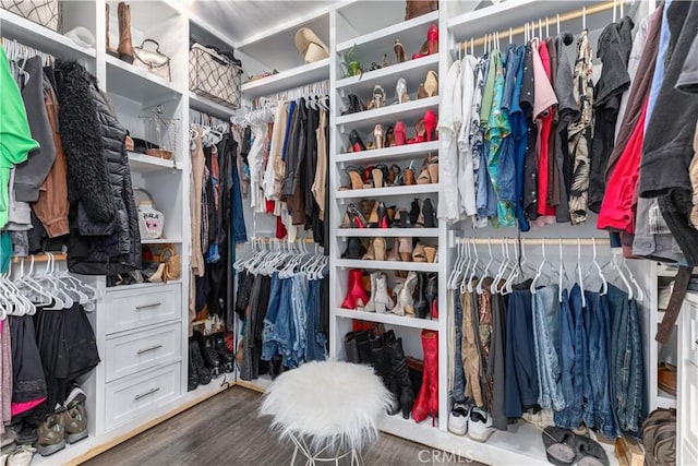 spacious closet featuring hardwood / wood-style flooring
