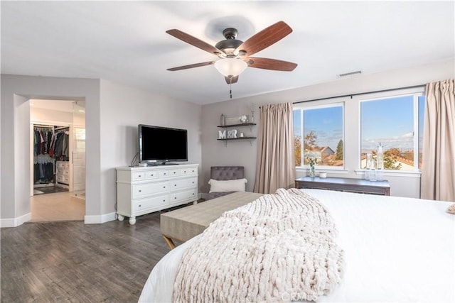 bedroom with ceiling fan, dark hardwood / wood-style floors, a closet, and a walk in closet