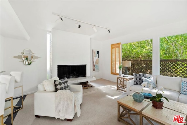 living room with carpet flooring, a large fireplace, and rail lighting