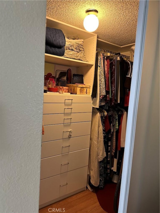 spacious closet featuring light wood-type flooring