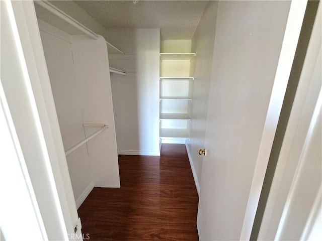 walk in closet featuring dark wood-type flooring